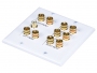 Акустическая розетка 5.1 Surround Sound Distribution Wall Plate - 1